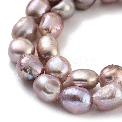 Natural Cultured Freshwater Pearl Beads Strands PEAR-P062-26C-1