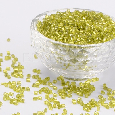 Two Cut Glass Seed Beads CSDB24-1
