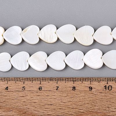 Natural Freshwater Shell Beads Strands SHEL-S276-87-1