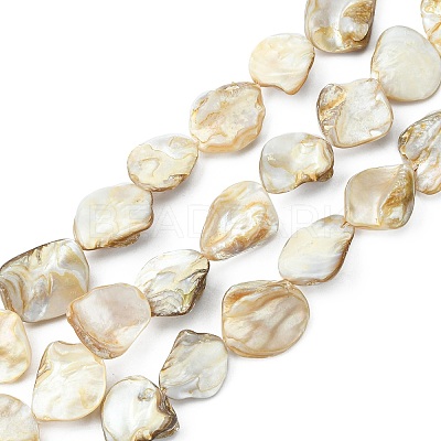 Handmade Shell Beads Strands X-PBB471-1-1
