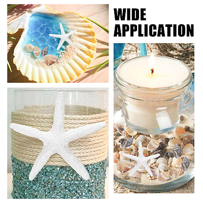 Natural Shell & Starfish Resin Cabochons Decorations SHEL-AR0001-13-1