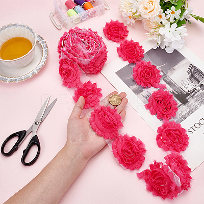 Polyester Lace Ribbons OCOR-WH0082-213B-1