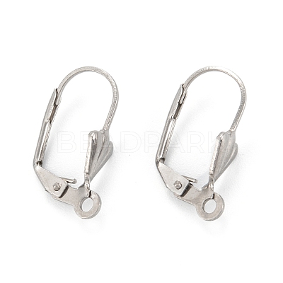Tarnish Resistant 304 Stainless Steel Leverback Earring Findings STAS-K218-08P-1