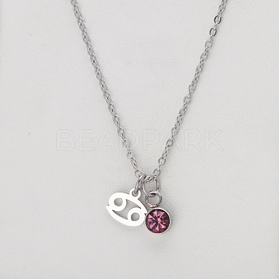 304 Stainless Steel Light Amethyst Rhinestone Birth Stone Constellation Pendant Necklaces FS-WG76580-18-1
