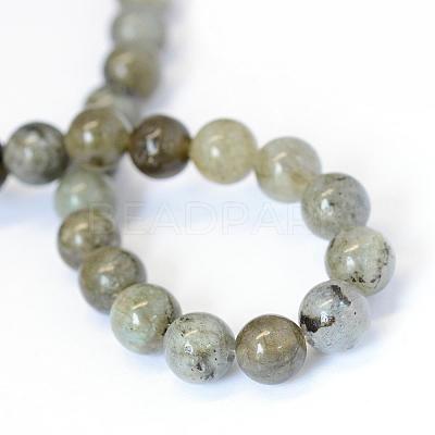 Natural Labradorite Round Bead Strands G-E334-6mm-19-1