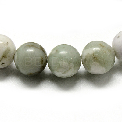 Natural Peace Jade Beads Strands G-Q462-50-8mm-1