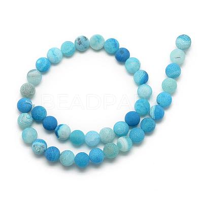 Natural Weathered Agate Bead Strands G-S237-10mm-04-1