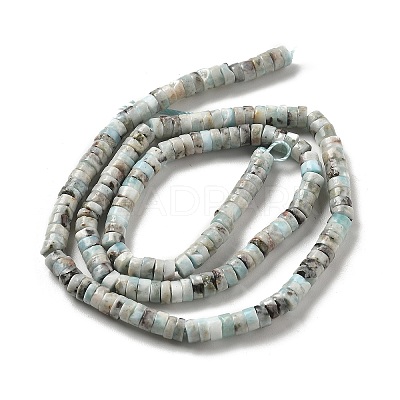 Natural Larimar Beads Strands G-Q024-B03-01-1