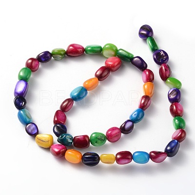 Natural Shell Beads Strands BSHE-D004-7-1