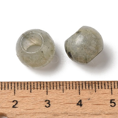 Natural Labradorite European Beads G-N342-03F-1