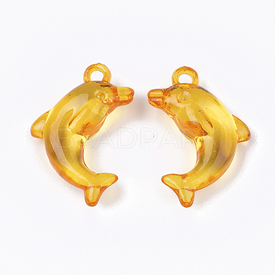 Transparent Acrylic Pendants X-TACR-S133-070-1
