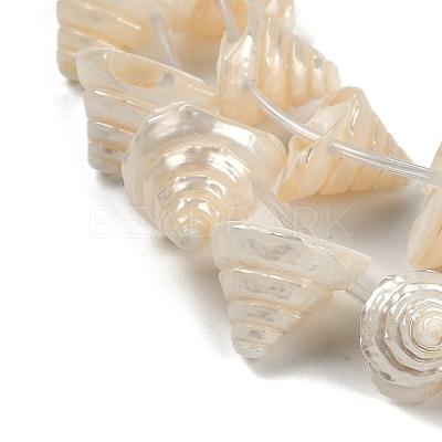 Natural Shell Beads Strands SHEL-K009-11-1