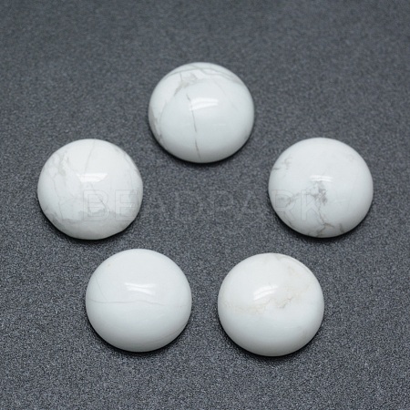 Natural Howlite Cabochons G-P393-R32-8MM-1