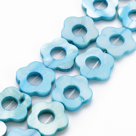 Freshwater Shell Beads Frames Strands SHEL-T009-14B-1