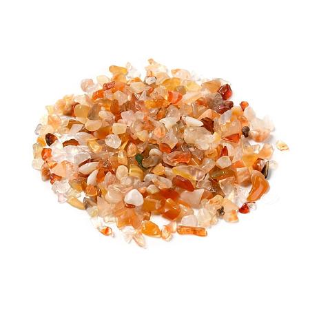 Natural Carnelian Chip Beads G-O103-18-1