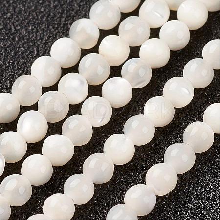 Natural White Shell Beads Strands G-G680-54-1