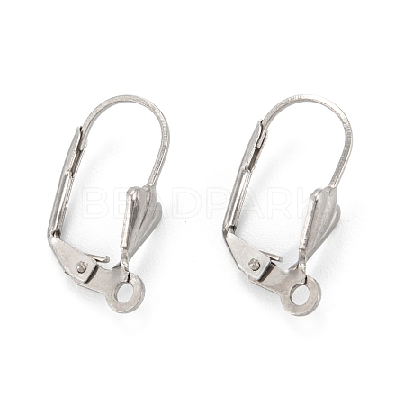 Tarnish Resistant 304 Stainless Steel Leverback Earring Findings STAS-K218-08P-1