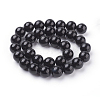 Natural Obsidian Beads Strands LS-G-G099-12mm-24-2