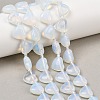 Opalite Beads Strands G-NH0069-A01-1