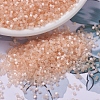 MIYUKI Delica Beads SEED-JP0008-DB0824-1