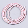 Natural Freshwater Shell Beads Strands BSHE-T009-01D-2