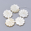 Natural Freshwater Shell Beads X-SHEL-T007-05-1