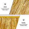 10M Polyester Tassel Lace Ribbon OCOR-WH0046-67-4