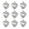 316 Surgical Stainless Steel Charms STAS-L236-10P-1