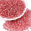 6/0 Baking Paint Transparent Fringe Glass Seed Beads X1-SEED-N006-06F-1