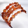 Natural Carnelian Beads Bracelets GG-CBA05D5-02A-05-1