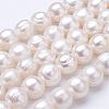 Natural Cultured Freshwater Pearl Beads Strands PEAR-F004-50-1