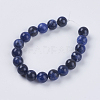 Natural Sodalite Beads Strands X-G-G515-10mm-07-2