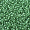 MIYUKI Round Rocailles Beads SEED-G007-RR0646-2