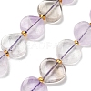 Natural Ametrine Beads Strands G-B044-B20-01-2