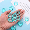 Transparent Acrylic Pendants TACR-T024-03B-946-5