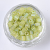 6/0 Transparent Glass Seed Beads SEED-S027-03B-05-2