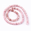 Shell Beads Strands SSHEL-E571-49-2