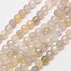 Natural Botswana Agate Beads Strands G-A129-3mm-18-1