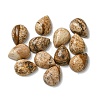 Natural Picture Jasper Cabochons G-Q173-02B-13-1