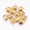 304 Stainless Steel Charms X-STAS-G176-17G-1