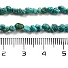 Natural HuBei Turquoise Beads Strands G-B089-B01-01-5