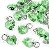 Faceted Transparent Glass Charms GLAA-T024-04G-1