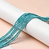 Natural Howlite Beads Strands G-C025-02A-01-2