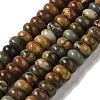 Natural Picasso Jasper Beads Strands G-Q161-B01-02-1