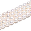Natural Cultured Freshwater Pearl Beads Strands PEAR-N012-07Z-01-5