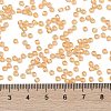 TOHO Round Seed Beads SEED-XTR08-0391-4