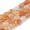 Natural Carnelian Beads Strands G-S364-052-1