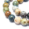 Natural Chrysocolla and Lapis Lazuli Beads Strands G-F715-105C-3