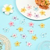 20Pcs Transparent Resin Pendants RESI-YW0006-06-4