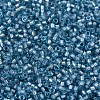 MIYUKI Delica Beads SEED-X0054-DB2383-3